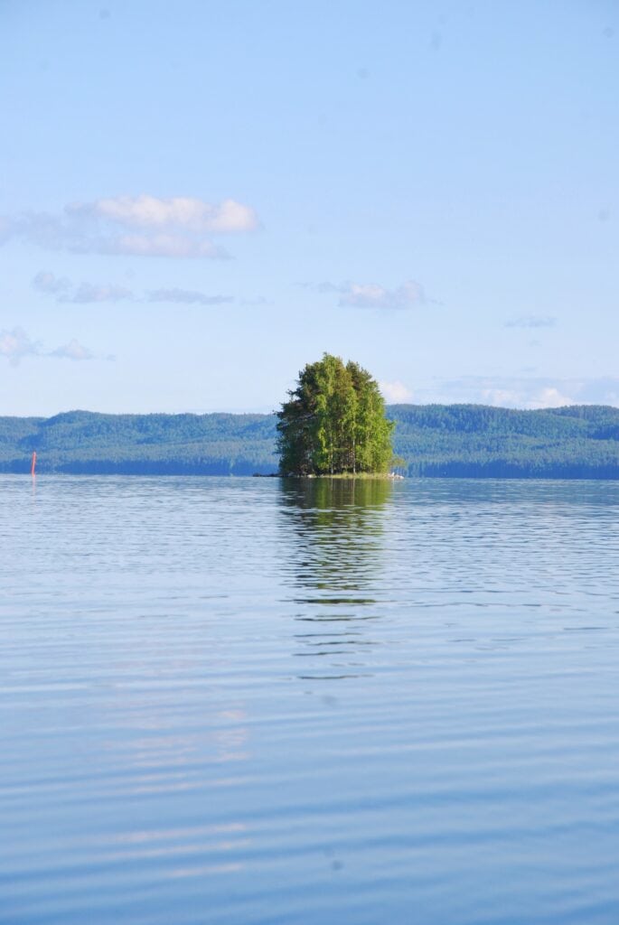 Pieni saari Pielisellä keskellä järveä