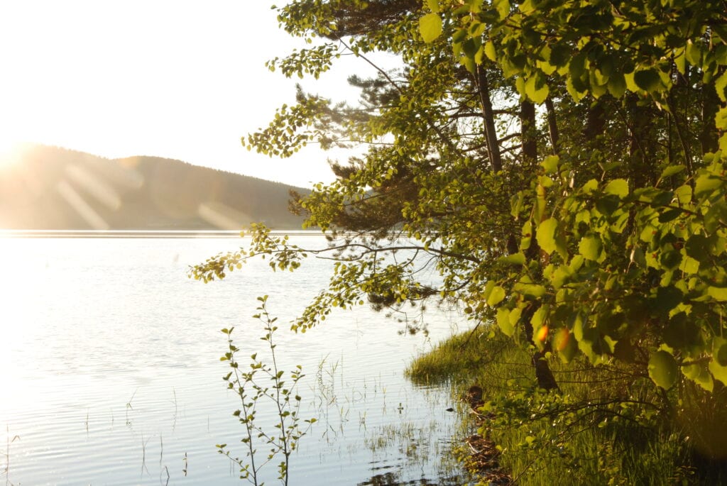 Ilta-aurinkoa taustalla Koli ja Pielinen