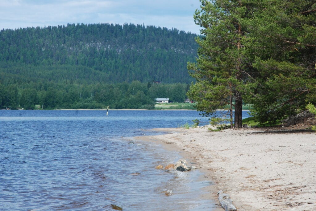 Hiekkaranta ja taustalla Kolin vaaroja