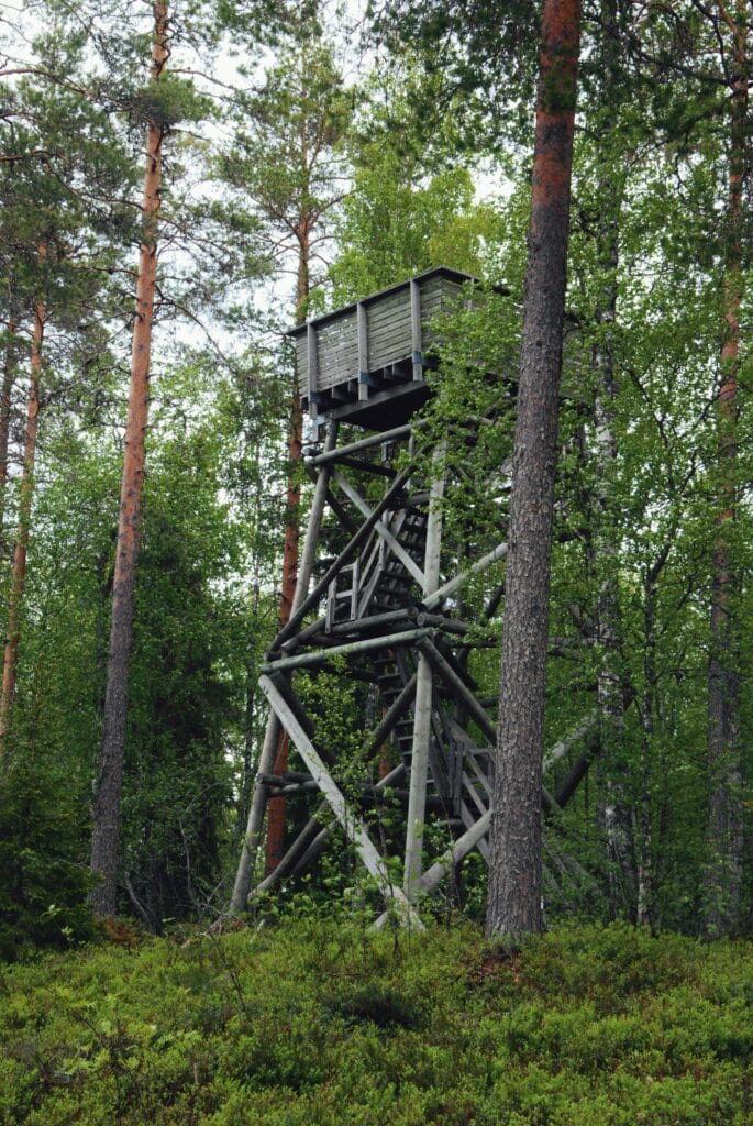 Huuhkajanvaaran näköalatorni keskellä metsää