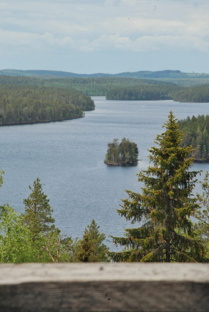 Järvimaisema näköalatornista katsottuna