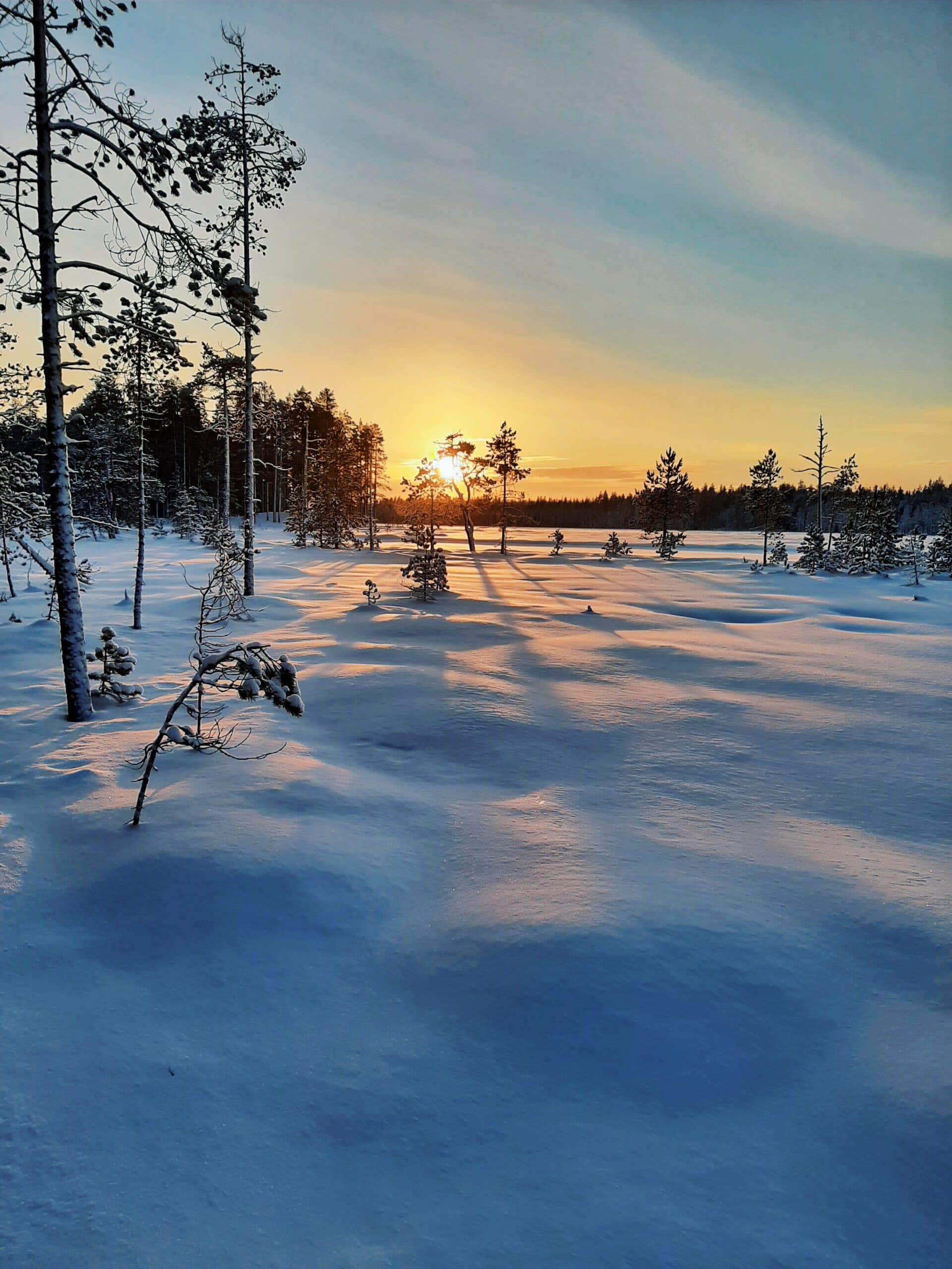 Talvinen maisema patvinsuolla